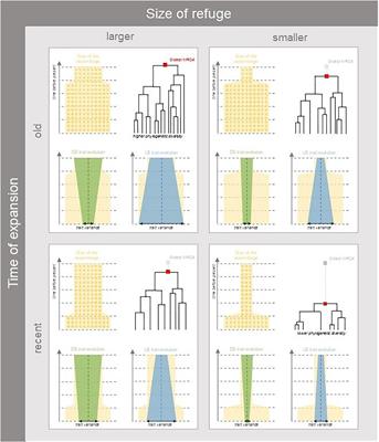 Imprints of Past Habitat Area Reduction on Extant Taxonomic, Functional, and Phylogenetic Composition